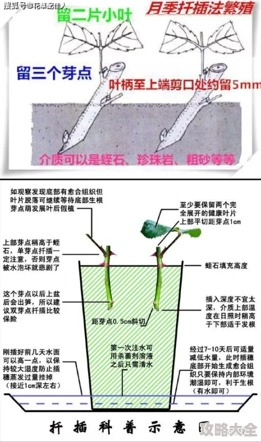 操操操插插插进度缓慢资源不足技术瓶颈亟待突破