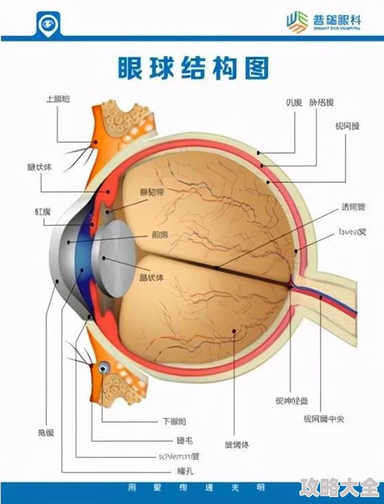 美女隐私秘秘18禁视频网站传播不良信息危害身心健康请远离不良网站