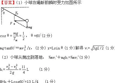 黑人大吊提升性能和稳定性并修复了一些已知问题