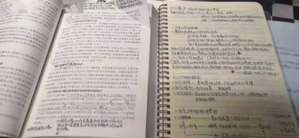 百合车文据说作者是某高校学生而且还是个学霸