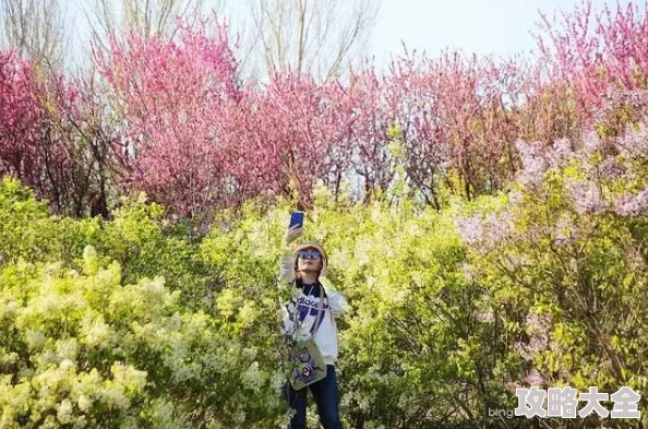 丁香花五月持续绽放香满园引市民驻足观赏