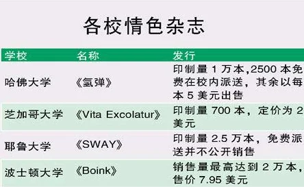 黄色小说校园传播淫秽色情内容已被警方查处