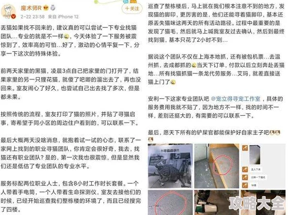 肥熟水树玉疑似人工染色高价出售专家提醒谨慎购买