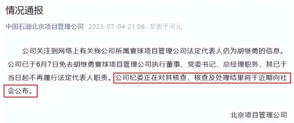 董赫深陷财务造假丑闻涉案金额高达千万元