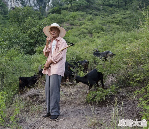 燕姐放羊老人户外W358带你体验淳朴自然风光感受牧民生活乐趣