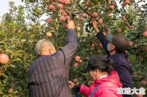 梦境侦探灯笼寻找位置全攻略：最新热门藏匿点一览