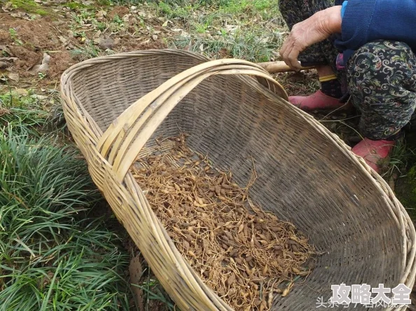 久草福利资源为什么高清流畅的观影体验是用户首选