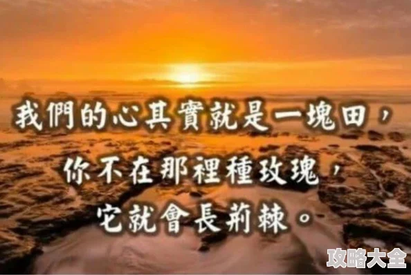 A级视频为什么扣人心弦令人回味无穷因为它讲述了感人至深的故事