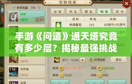 问道手游顶尖玩家揭秘：2024最新通天塔10层速通攻略