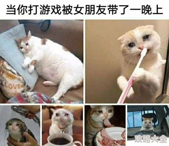 半梦情侣主最新视频vk据说同居啦还一起养了只猫