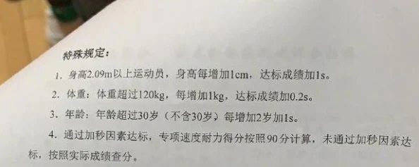 篮球队助理数据分析战术制定球员培养临场支持协调管理