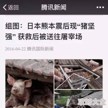 女人和公猪A片高清重制版现已上线画质提升新增花絮