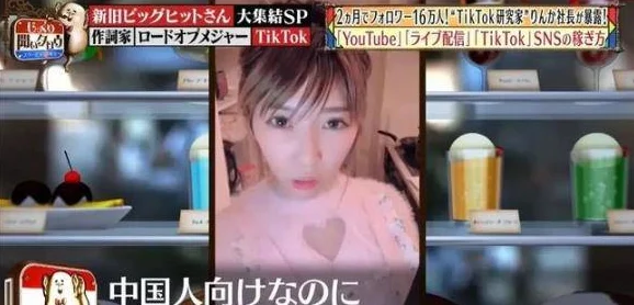 japansexvideo网友称内容低俗传播不良信息违反相关规定