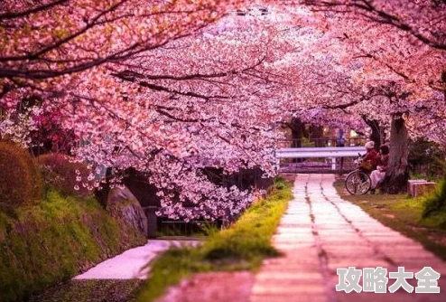 高岭家二轮花garden樱花动画第二季2025年春季放送确定