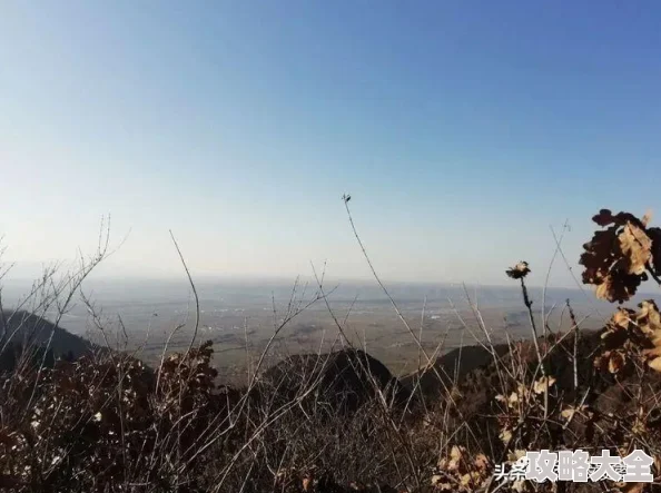 空之旅人最新热门副本过关技巧与顶级阵容搭配详解