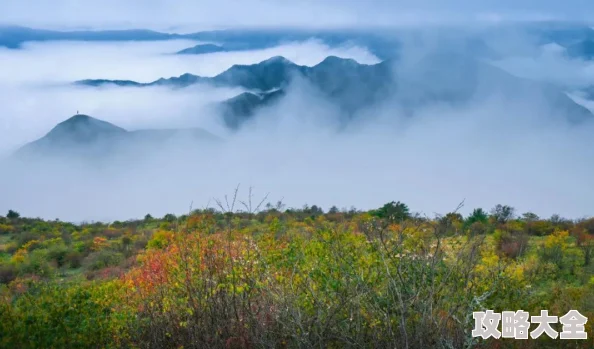 甜点王子2最新热门：星空树节点全览与玩法奖励深度解析