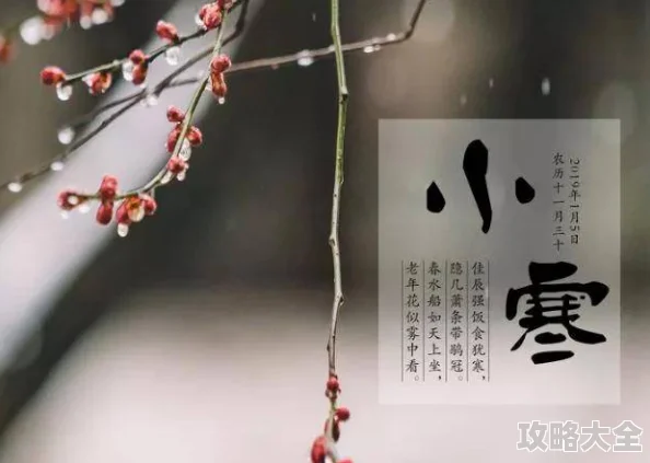 桃源深处有人家「三九寒天」——小寒节气活动预告 ｜ 冬日暖心聚会，感受传统文化魅力