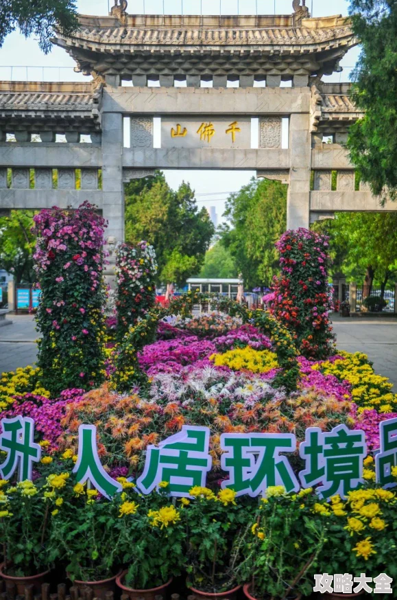 绝区零枯败花圃以太活性11通关攻略：详细步骤与技巧