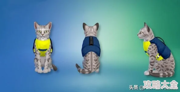 模拟人生4四季猫狗：选择宠物与享受四季的乐趣