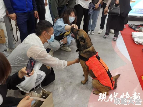 地铁逃生甲最佳配件搭配推荐：哪个配件最适合？