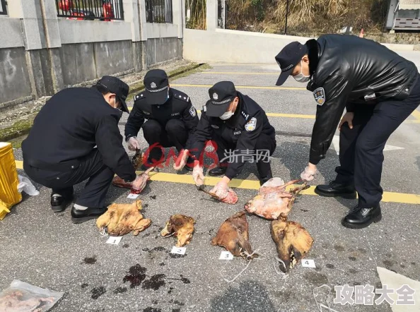 怪物猎人：深入对比捕获与狩猎的优劣，哪个更适合你？